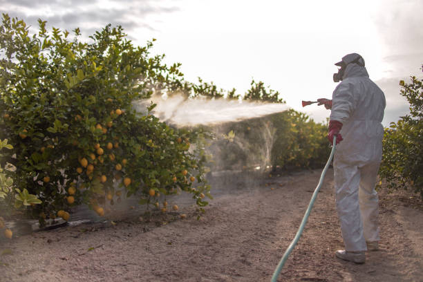Sedona, AZ Pest Control Company